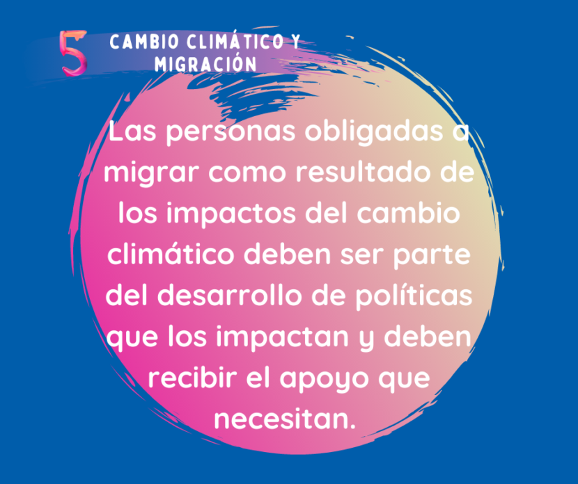 ccmspanish (4)