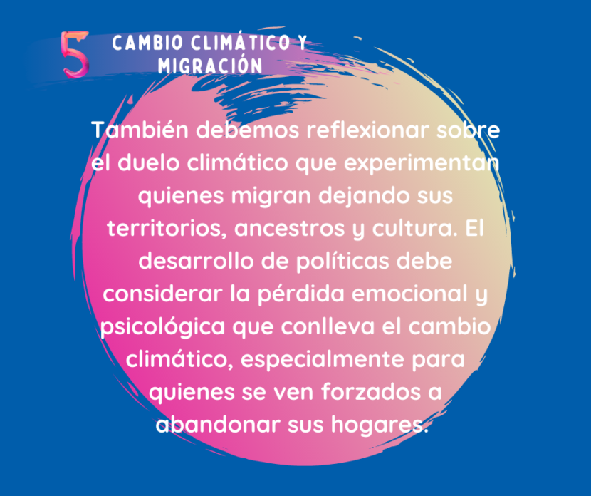 ccmspanish (5)